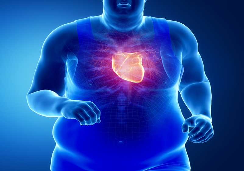 Does obesity impact the heart?